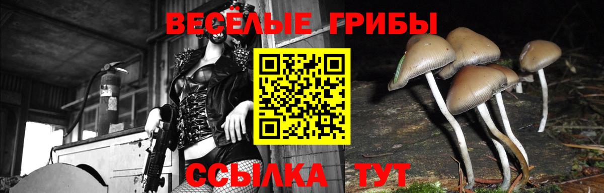 Галлюциногенные грибы мицелий Губкинский