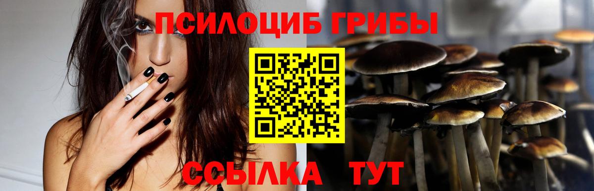 Галлюциногенные грибы Psilocybine cubensis  Вход с VPN  Губкинский  Псилоцибиновые грибы MAGIC MUSHROOMS 